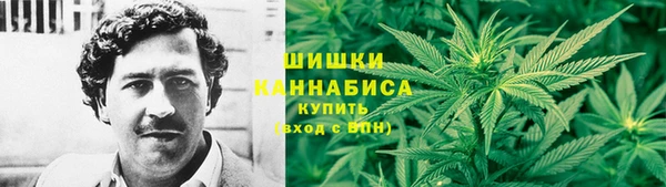 гидропоника Богородицк